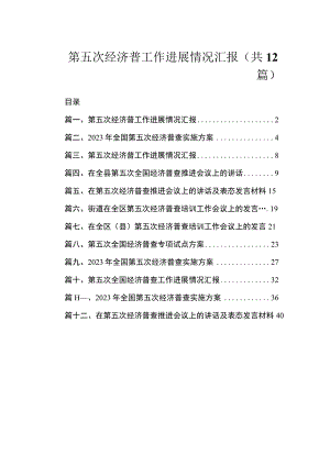 第五次经济普工作进展情况汇报（共12篇）.docx