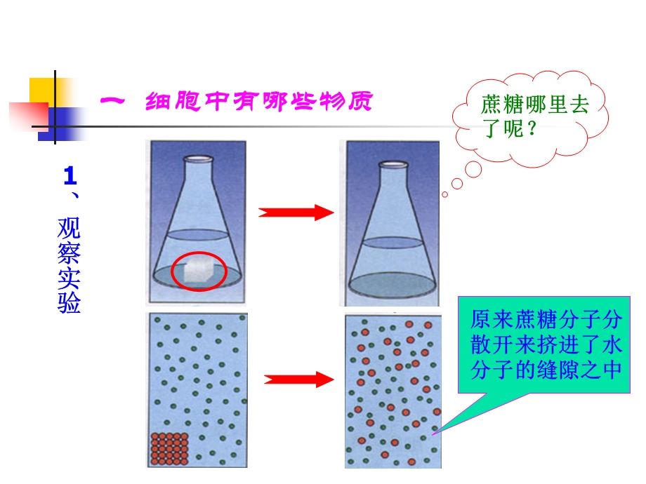 细胞的生活需要物质和能量精品教育.ppt_第3页