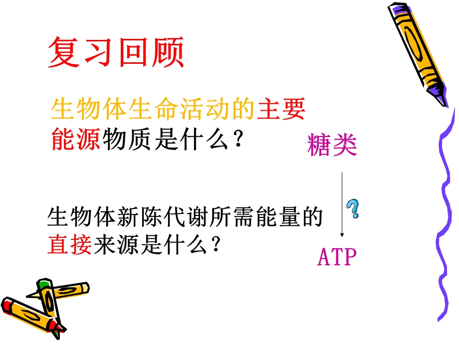 细胞呼吸课件精品教育.ppt_第2页