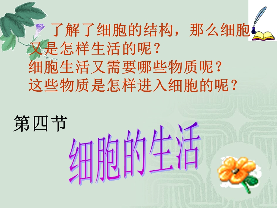 细胞的生活四课时精品教育.ppt_第2页