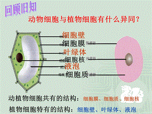 细胞的生活四课时精品教育.ppt