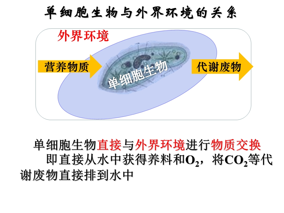 细胞生活的环境(用)精品教育.ppt_第2页