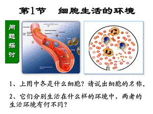 细胞生活的环境(用)精品教育.ppt