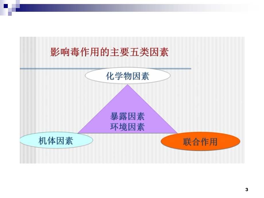 影响毒性作用的因素.ppt_第3页