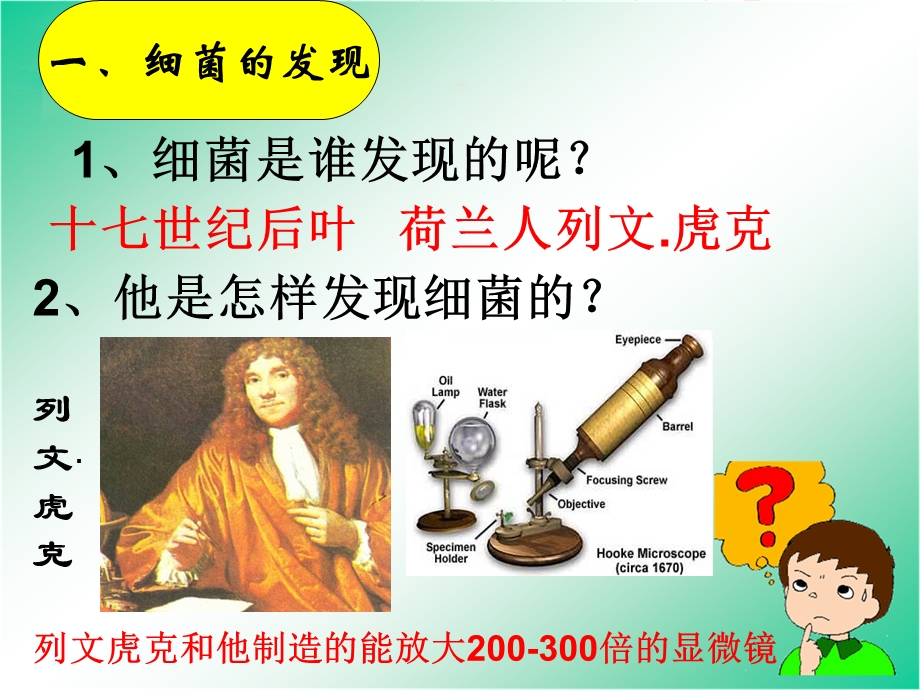 细菌 精品教育.ppt_第2页