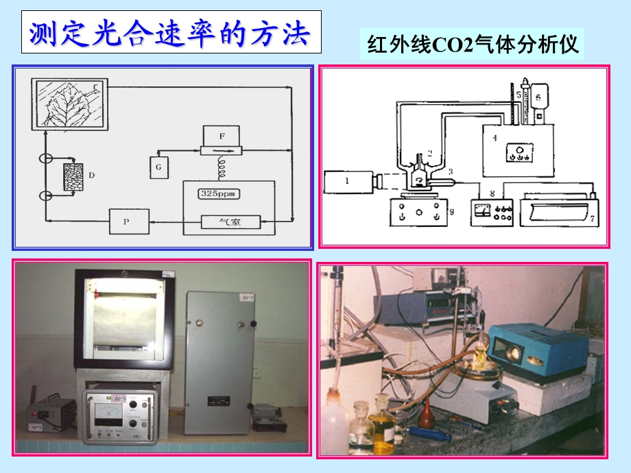 影响光合作用的因素.ppt_第3页