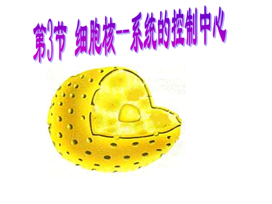 细胞核的课件精品教育.ppt_第1页