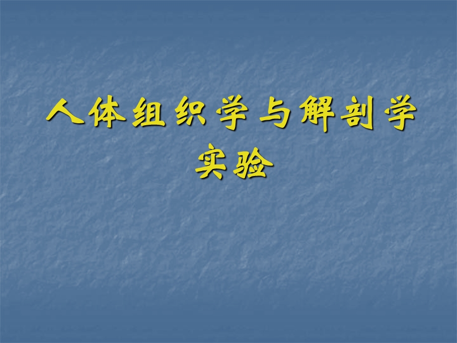 消化系统组成及各部分结构观察精品教育.ppt_第1页