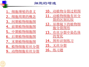 细胞的增殖ppt精品教育.ppt