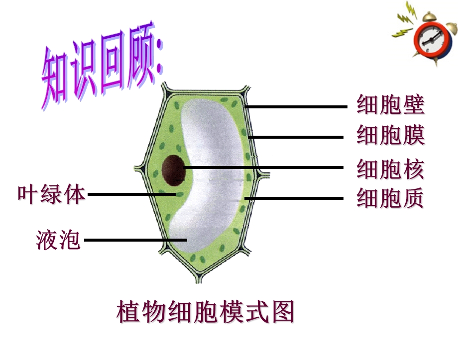 细胞的生活共28张PPT精品教育.ppt_第2页