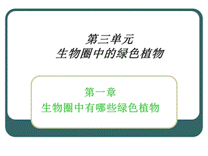 藻类、苔藓、蕨类植物精品教育.ppt