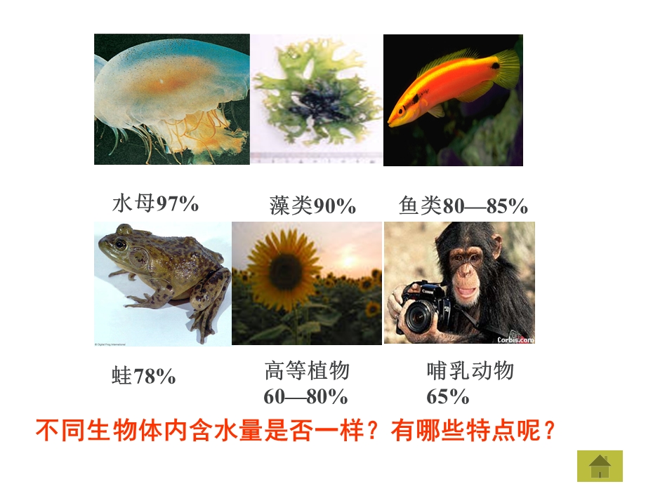 细胞中的无机物ppt精品教育.ppt_第3页