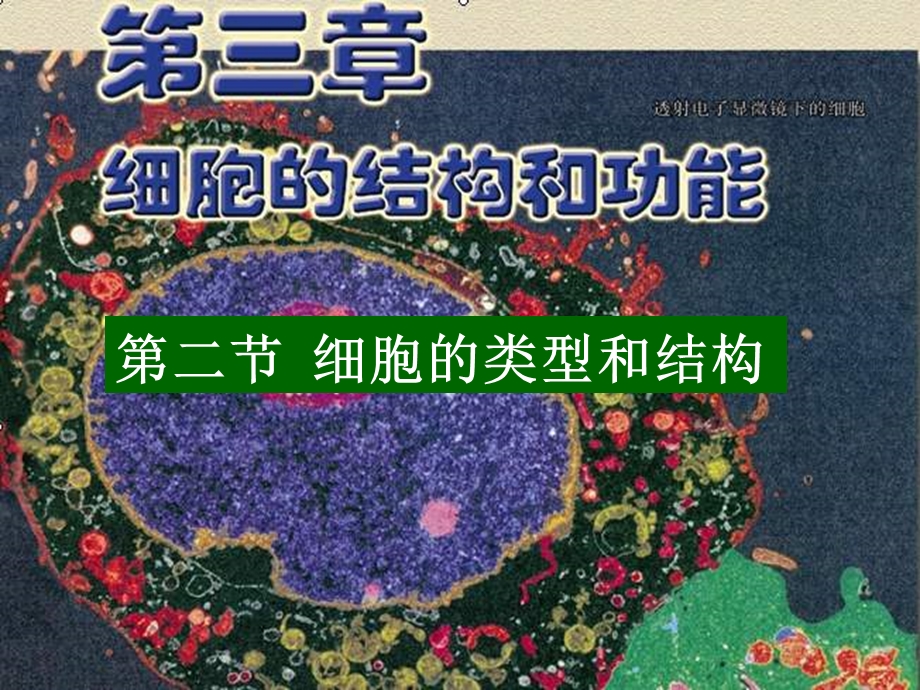 细胞的类型和结构精品教育.ppt_第1页