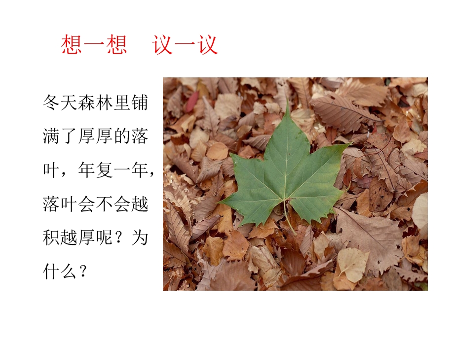 细菌和真菌在自然界中的作用课件精品教育.ppt_第2页