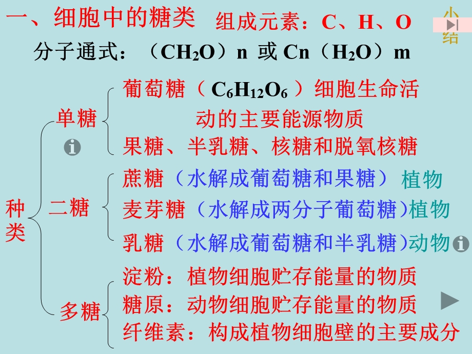 细胞中的糖类和脂质1精品教育.ppt_第3页