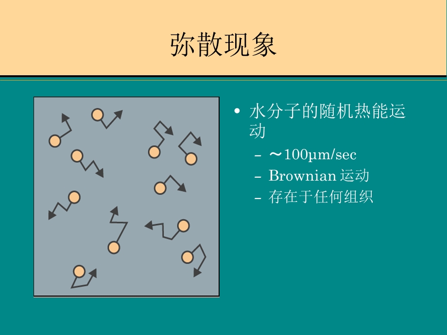 弥散与灌注.ppt_第3页