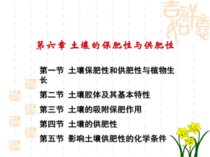 土壤肥料学第六章.ppt