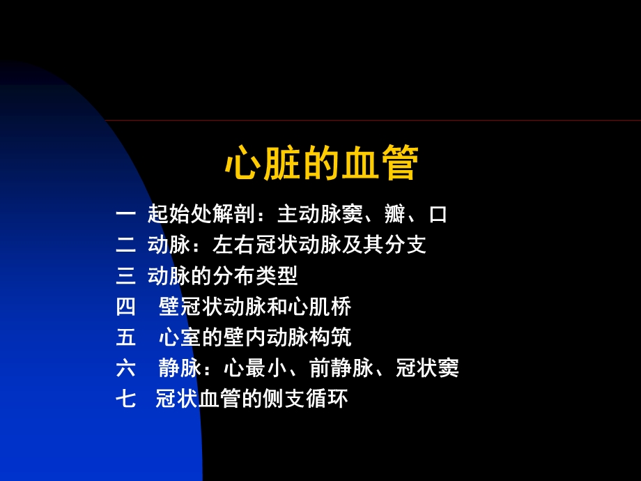 心脏血管的解剖.ppt_第1页