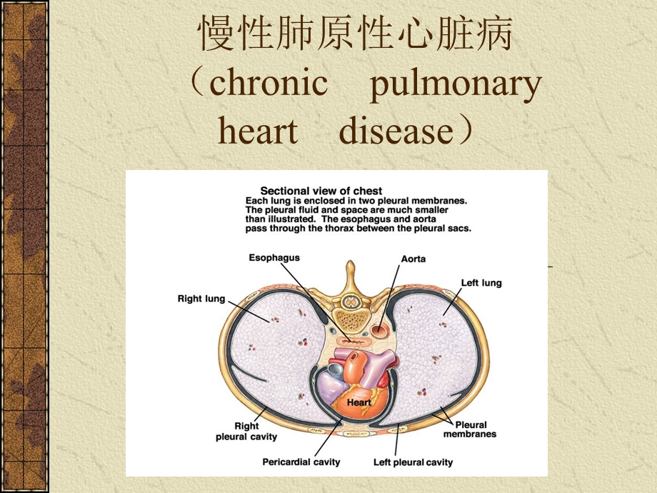 慢性肺原性心脏病名师编辑PPT课件.ppt_第1页