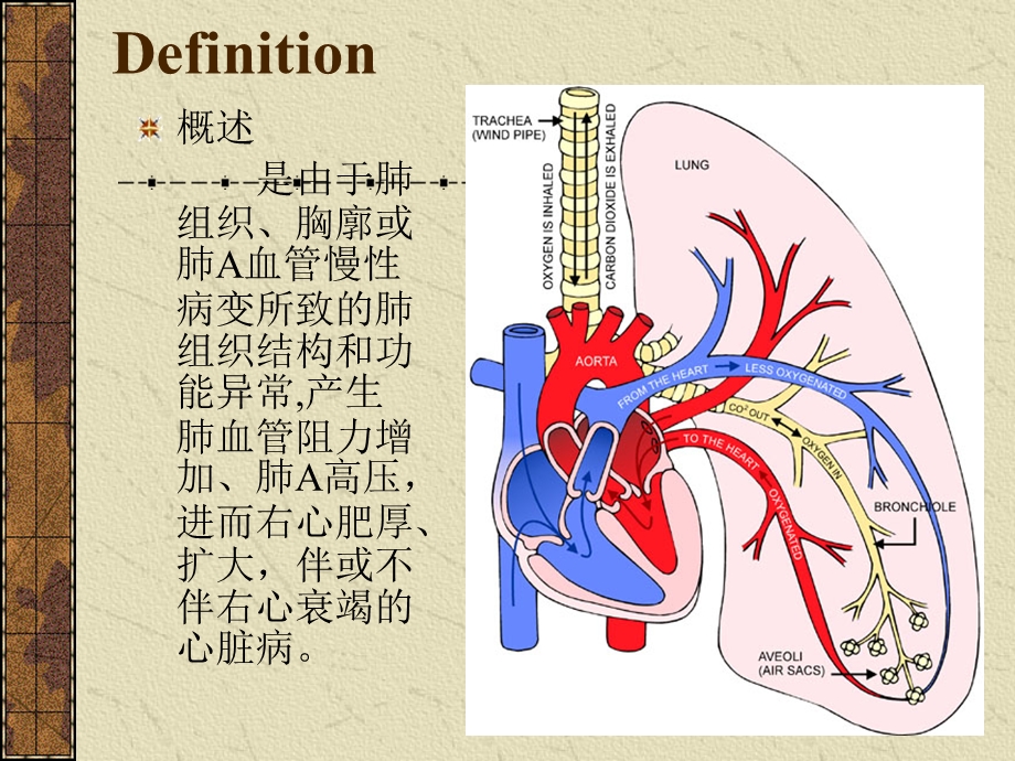 慢性肺原性心脏病名师编辑PPT课件.ppt_第2页