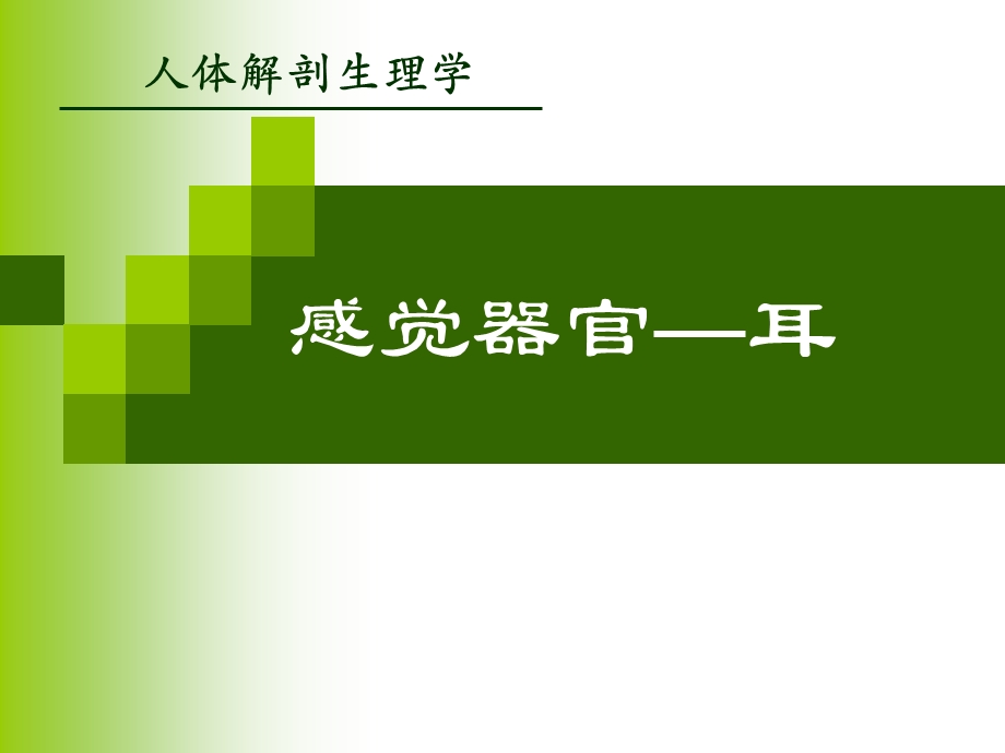 感觉器官耳.ppt_第1页