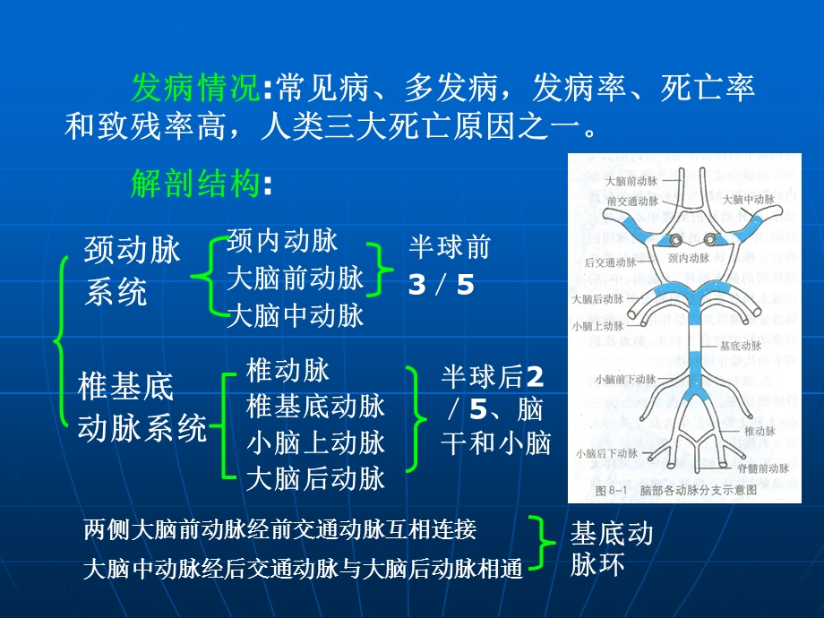 急性脑血管疾病名师编辑PPT课件.ppt_第2页