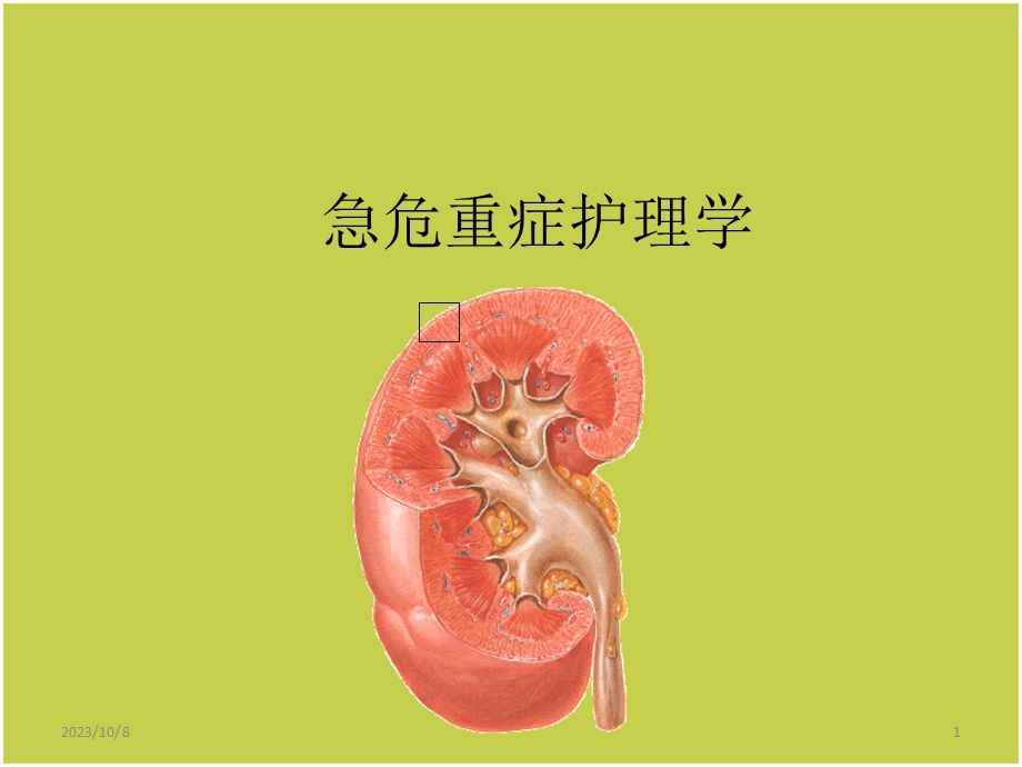 急护肾衰ppt课件.ppt_第1页