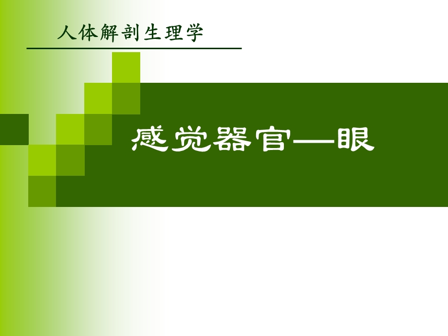 感觉器官视器.ppt_第1页