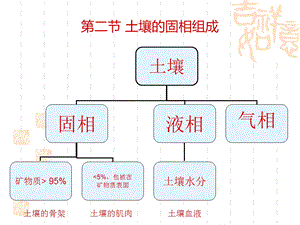 土壤的固相组成.ppt