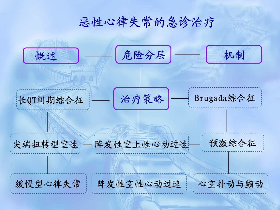 恶性心律失常的急诊治疗.ppt_第2页