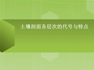 土壤剖面各层次的代号与特点.ppt