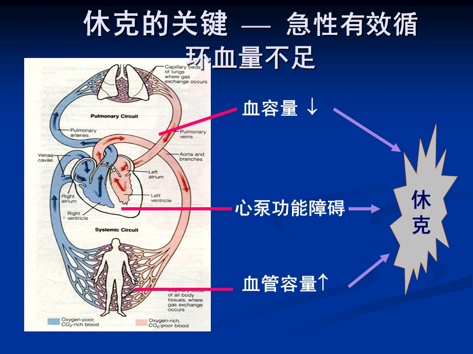 感染性休克的液体治疗.ppt_第3页