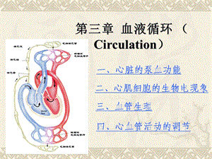 心血管活动的调节.22ppt.ppt