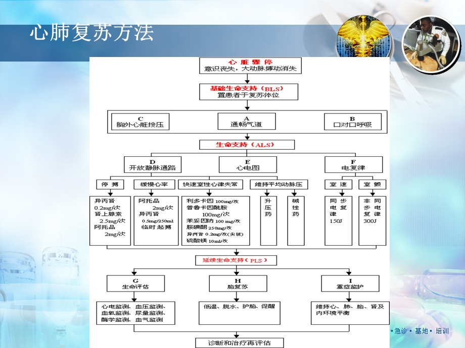 心肺复苏概述与药物治疗.ppt_第2页