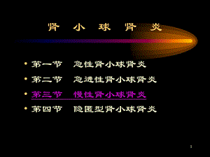 慢性肾炎.ppt