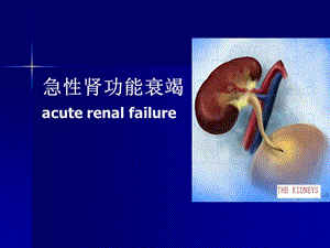 急性肾功能衰竭2.ppt