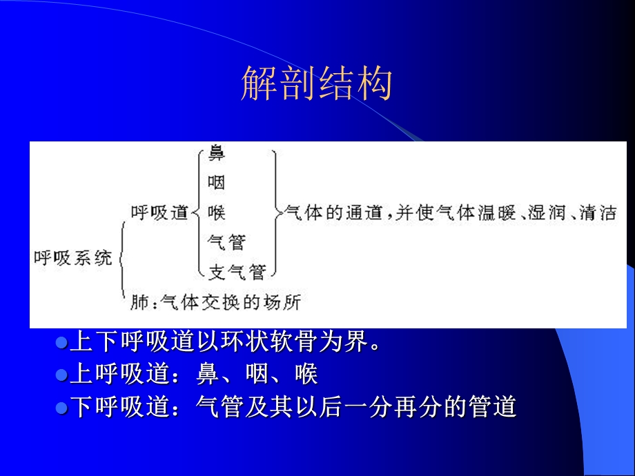 急性上呼吸道感染.ppt_第2页