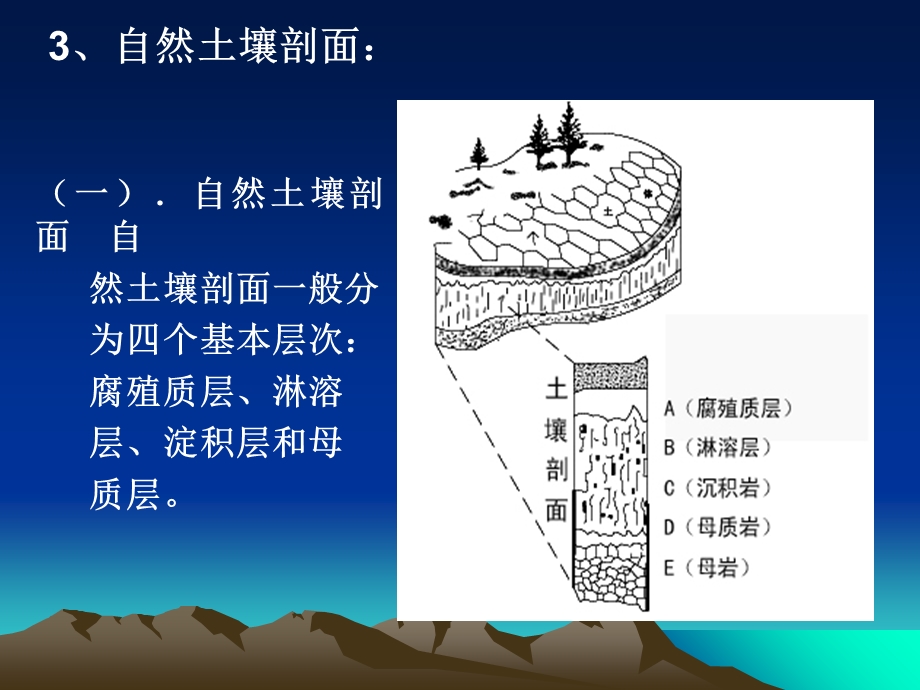 土壤的剖面.ppt_第3页