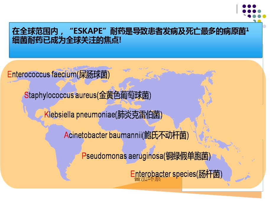 抗菌药物应用演示文稿新.ppt_第3页