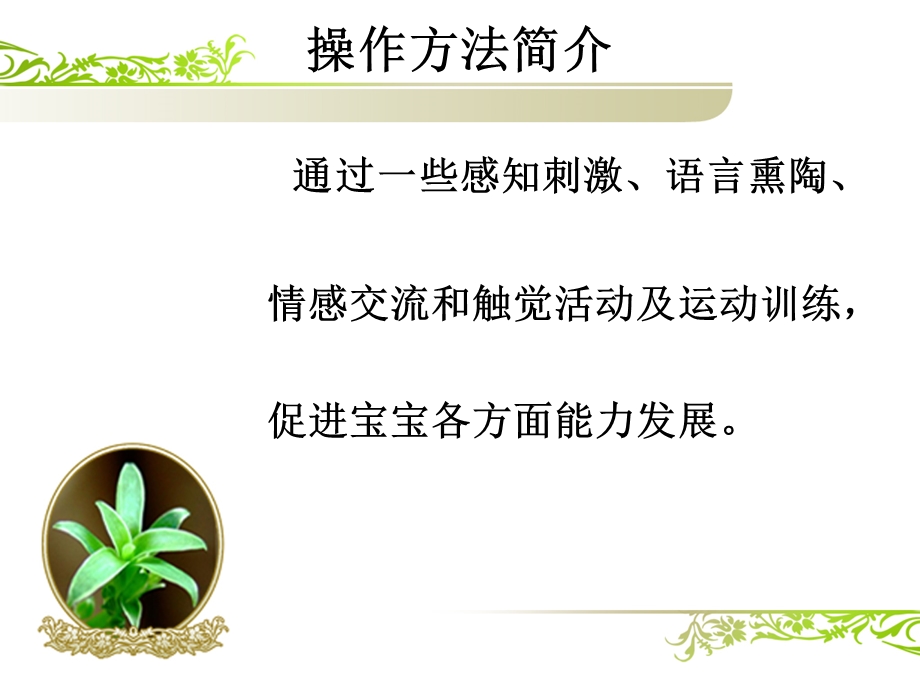 新生儿早教训练.ppt_第2页