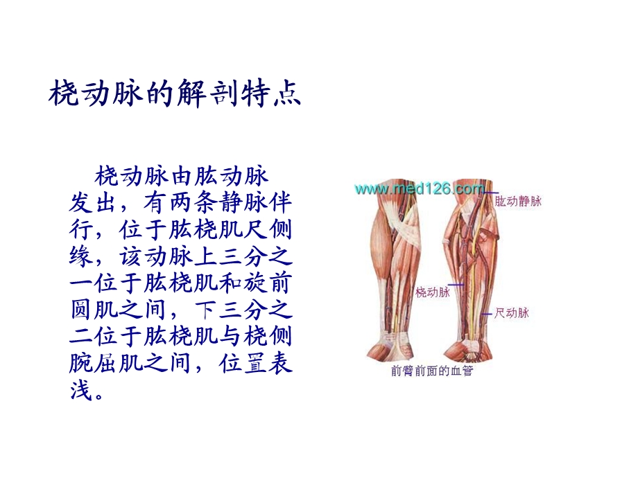 新生儿动脉穿刺技巧名师编辑PPT课件.ppt_第3页