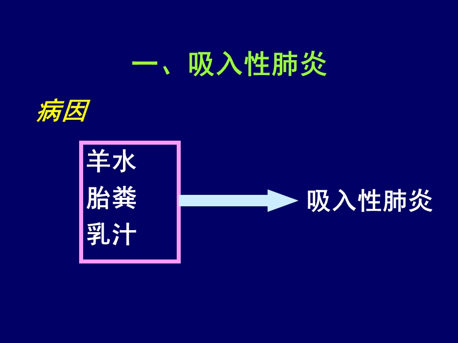 新生儿肺炎预防和治疗名师编辑PPT课件.ppt_第2页