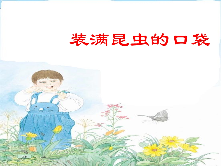 正式装满昆虫的口袋2.ppt_第3页