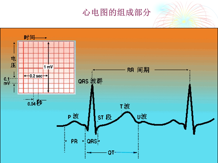 正常心电图及心律.ppt_第2页