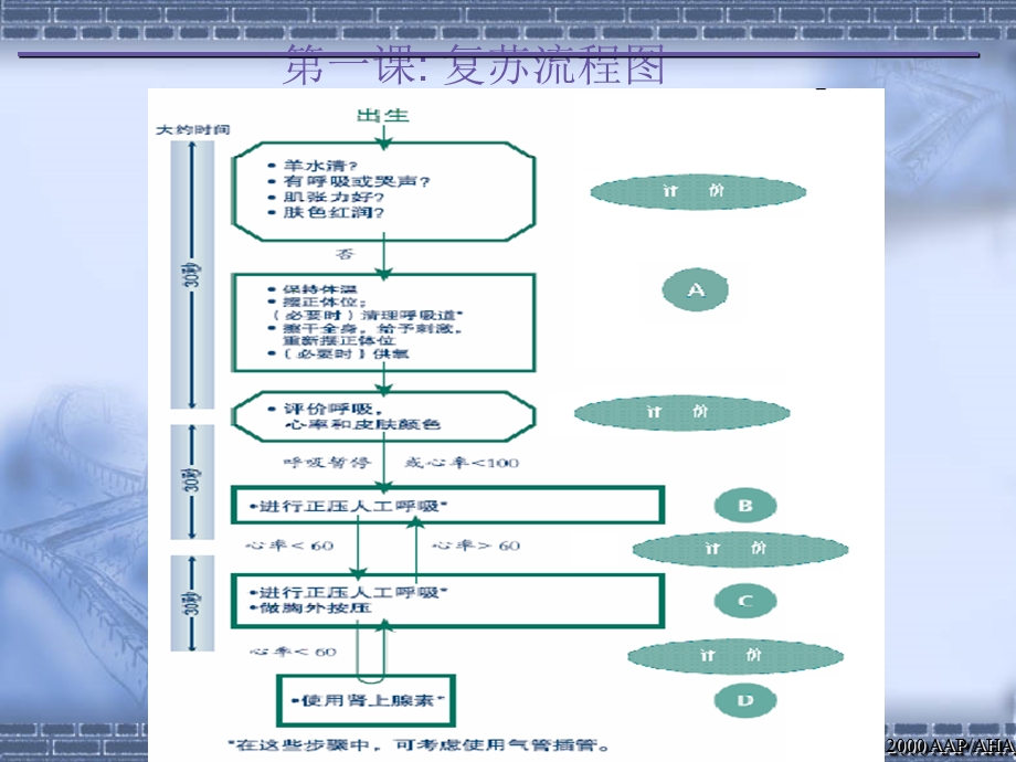 新生儿复苏新读名师编辑PPT课件.ppt_第3页