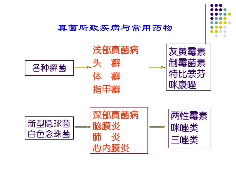 抗真菌药与抗病毒药名师编辑PPT课件.ppt_第3页