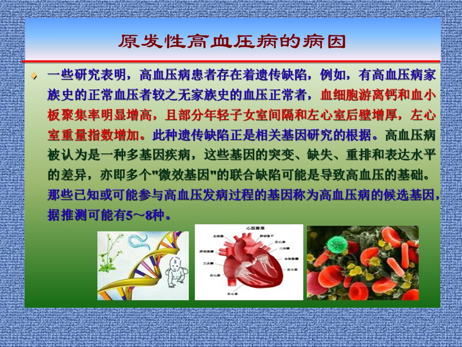 原发性高血压病的病因与防治名师编辑PPT课件.ppt_第3页