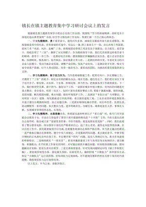 镇长在镇主题教育集中学习研讨会议上的发言.docx