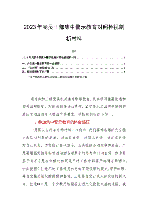 2023年党员干部集中警示教育对照检视剖析材料.docx