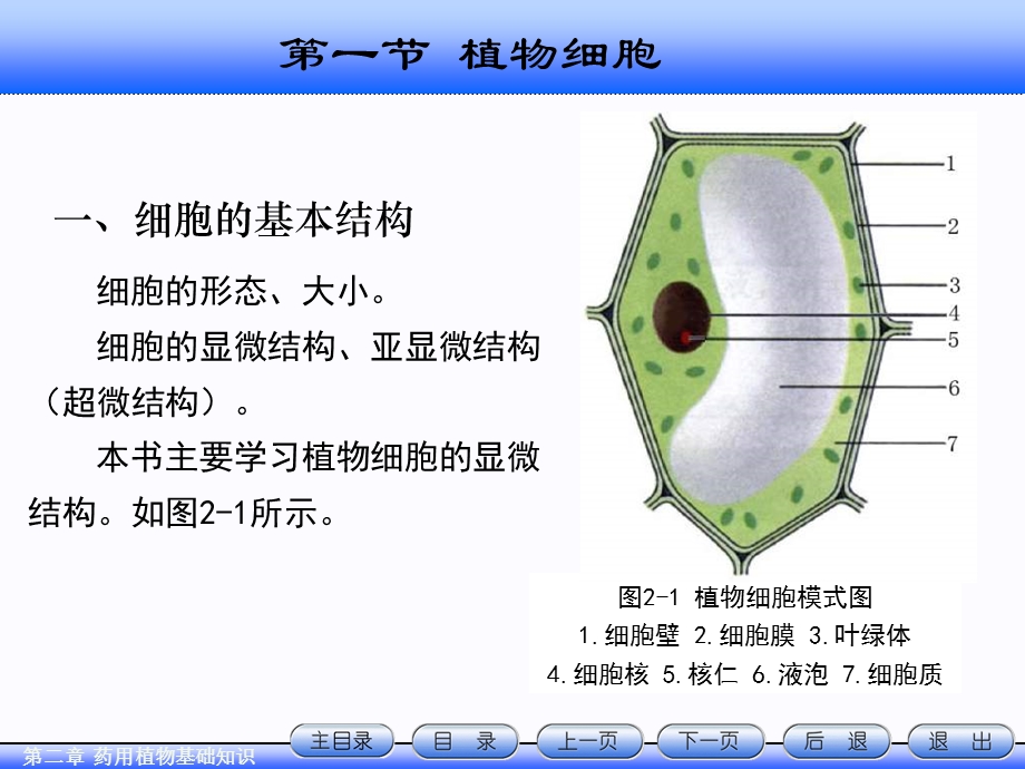 第2章天然药物学基础知识.ppt_第2页